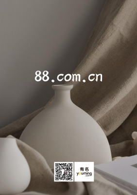 88.com.cn
